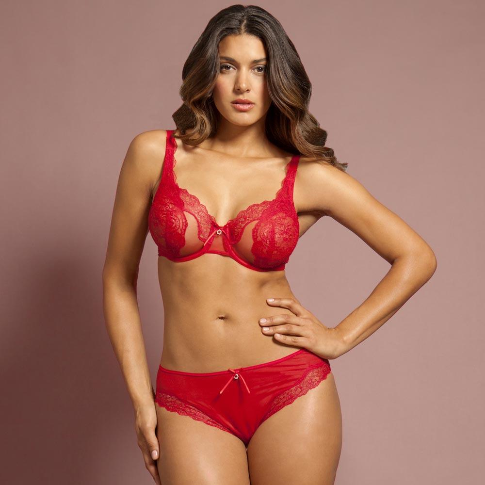 Sheer Lace Bikini Panty Soft Lining