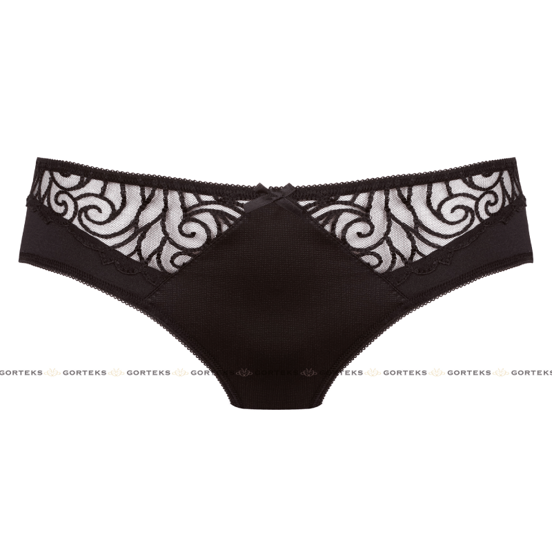 Elegant Sheer Embroidered Bikini Panty