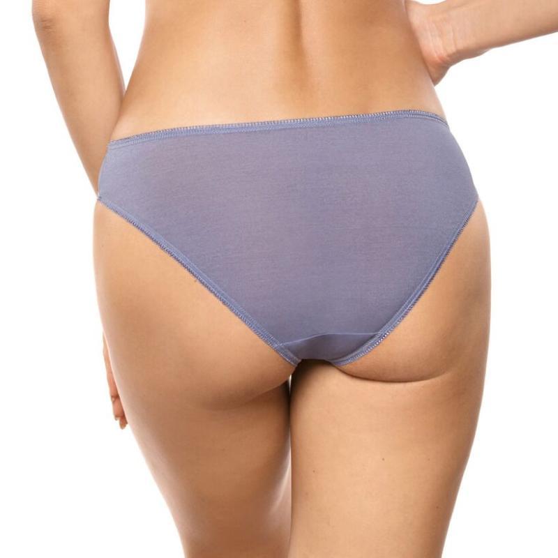 Sheer Embroidered Lace Bikini Panty Full Coverage