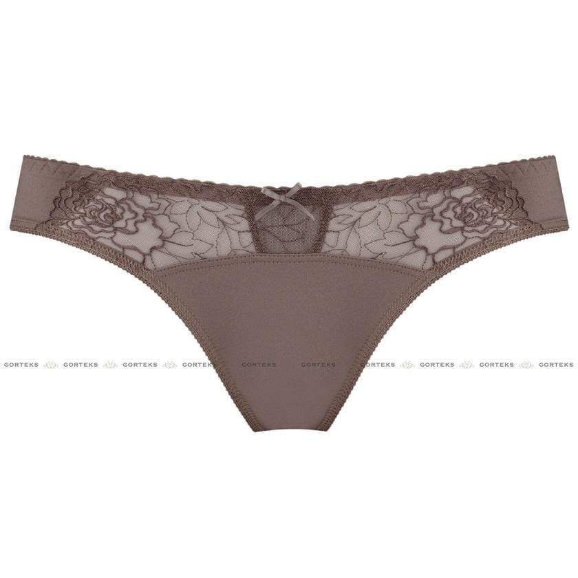 Semi Sheer Lace Low Rise Bikini Panty with Floral Embroidery