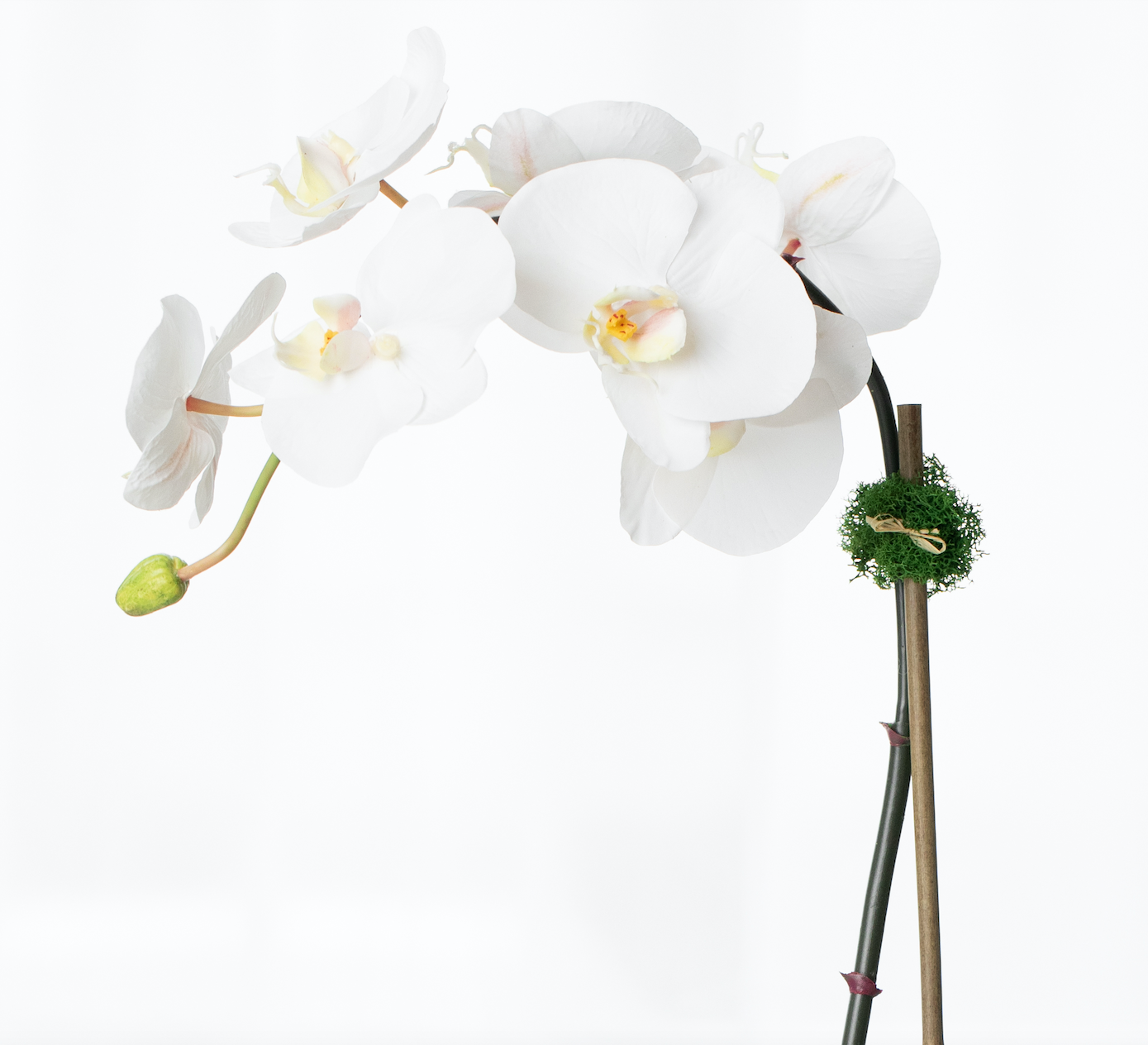 Artificial orchid plant - white orchid in white pot - 21"-3
