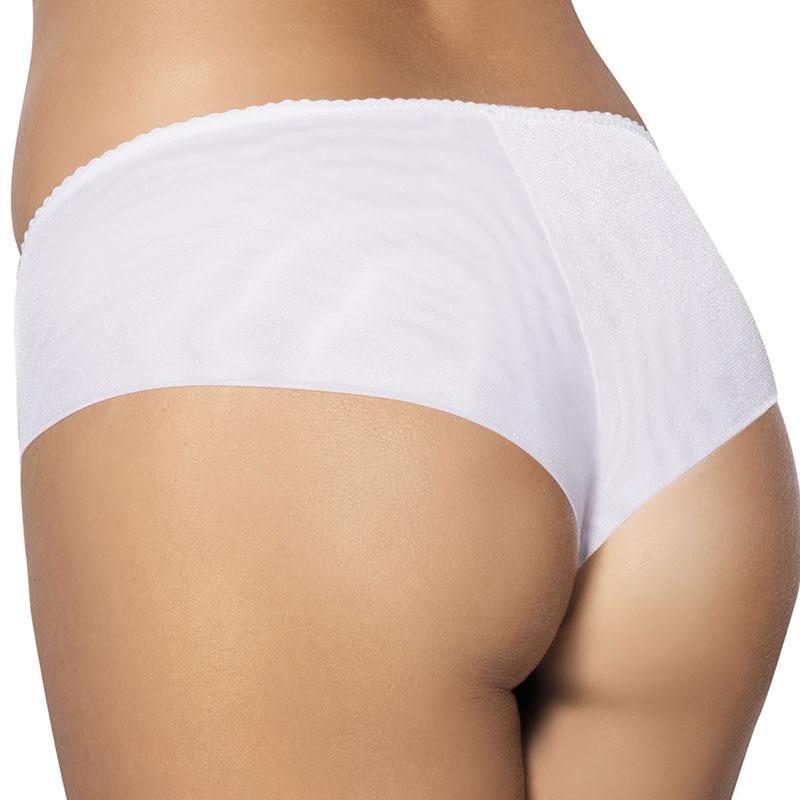 Everyday Comfort Semi-Sheer Hipster