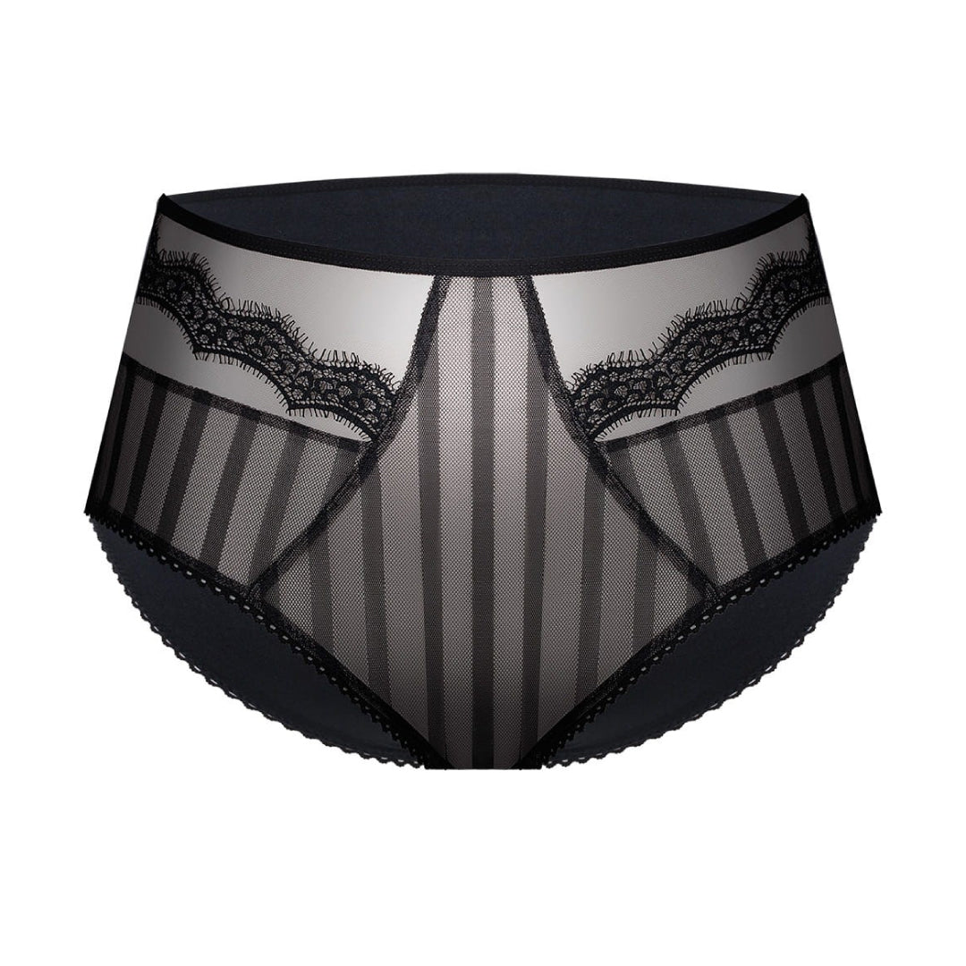 High Waist Sheer Lace Brief Panties Elegant Design